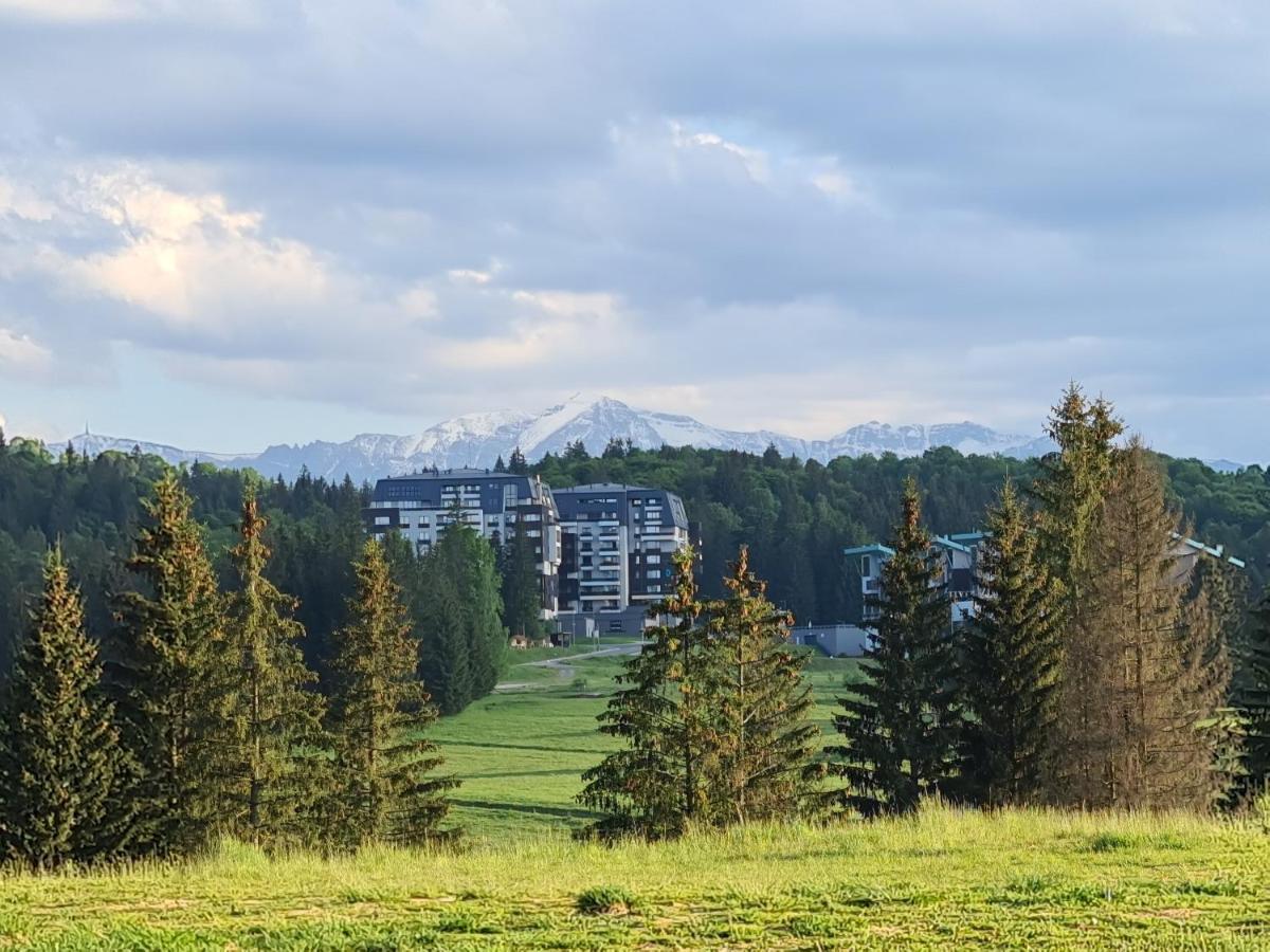 Apartment Sarah Deluxe In Silver Mountain Poiana Brasov